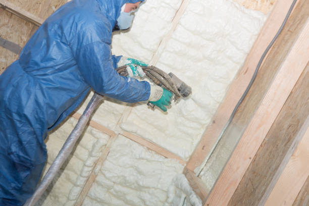 Best Eco-Friendly or Green Insulation Solutions  in Chama, NM